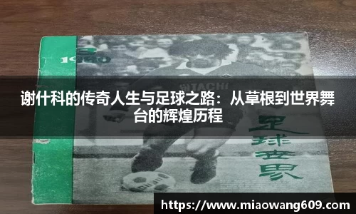 ballbet贝博官方app